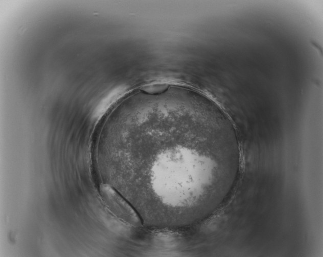 X0000103300199200809051530