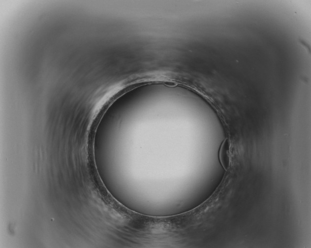 X0000103300200200809051530