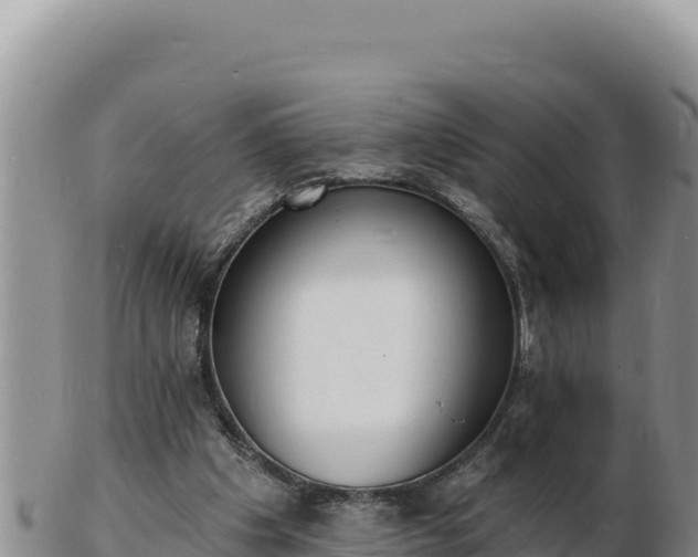 X0000103300201200809051530