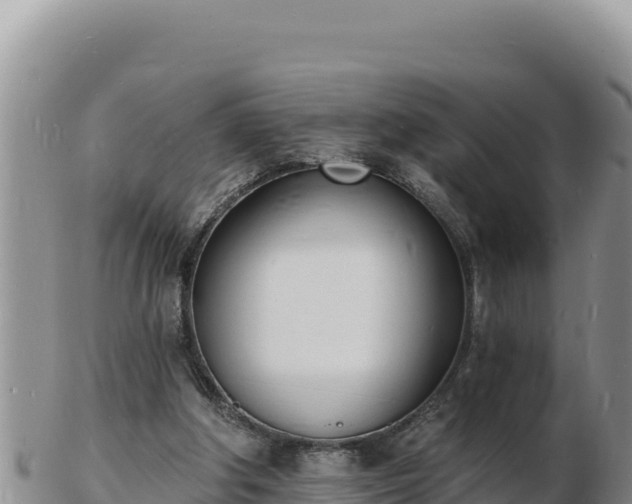 X0000103300202200809051530