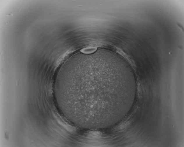 X0000103300203200809051530