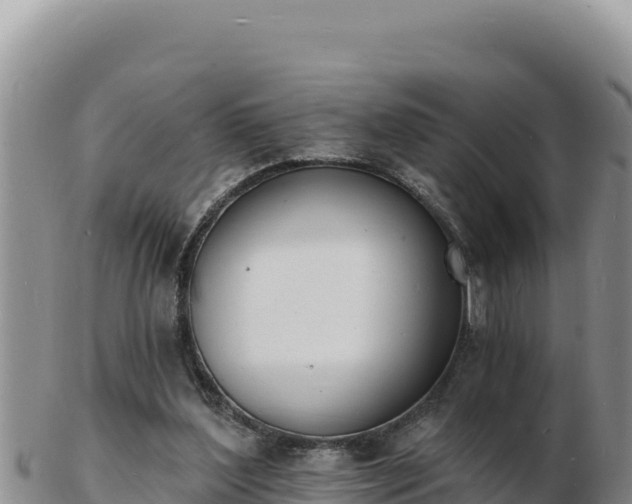 X0000103300204200809051530