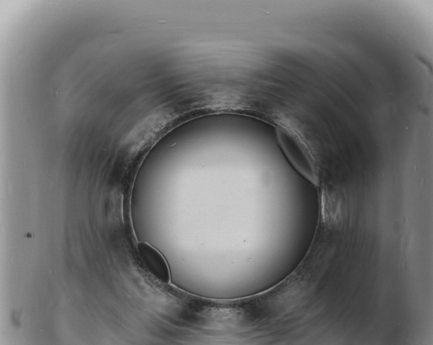 X0000103300205200809051530