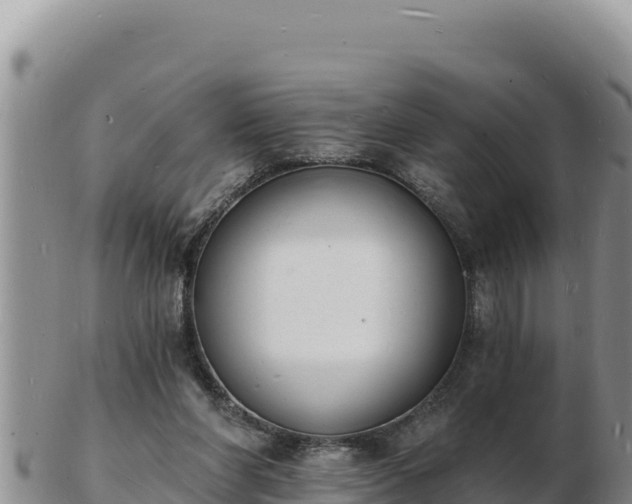 X0000103300206200809051530