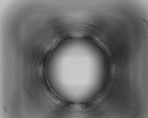 X0000103300209200809051530