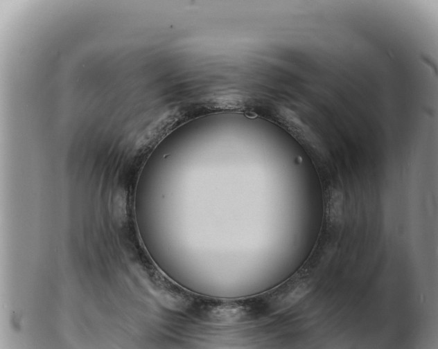 X0000103300213200809051530