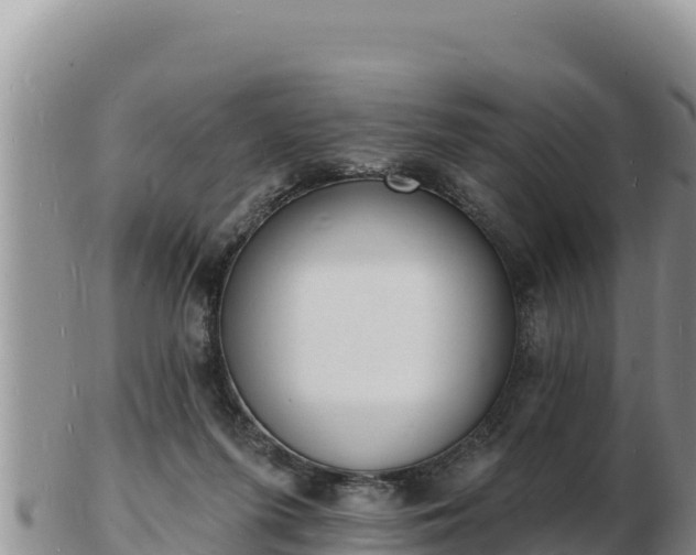 X0000103300215200809051530