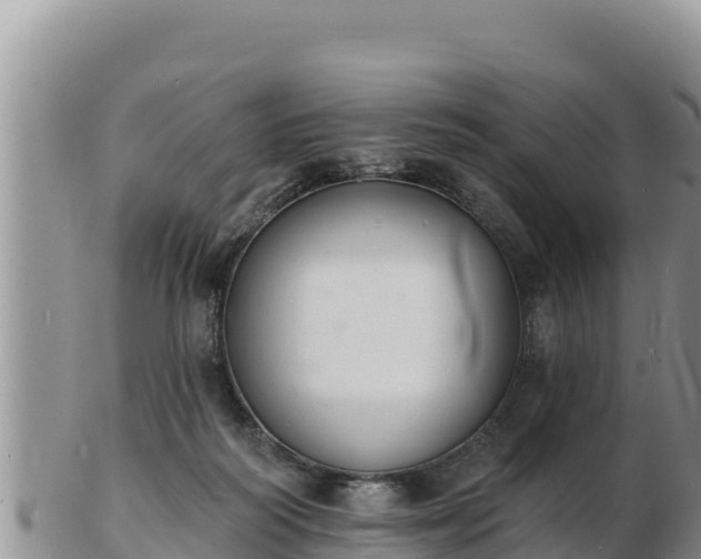 X0000103300218200809051530