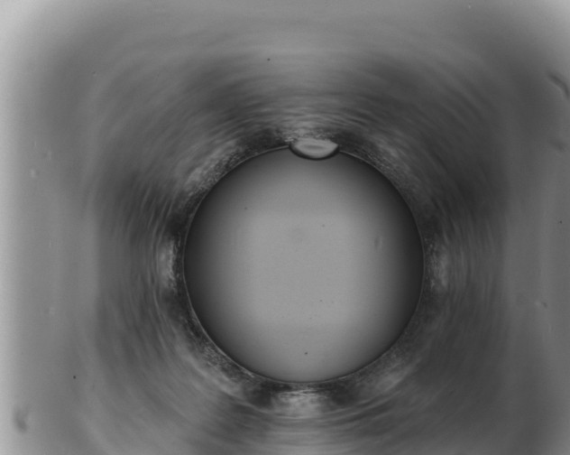 X0000103300219200809051530