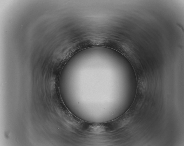 X0000103300221200809051530