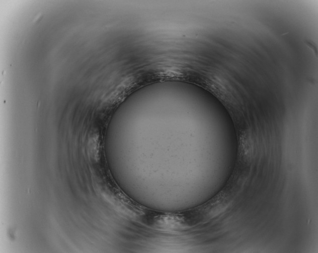 X0000103300223200809051530