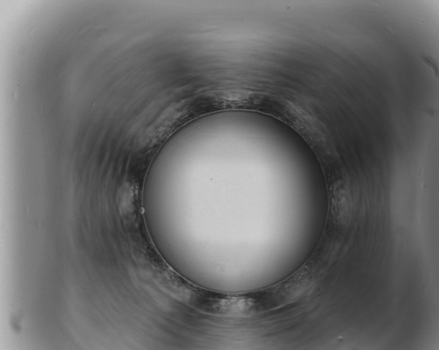 X0000103300225200809051530