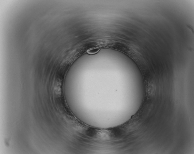 X0000103300226200809051530