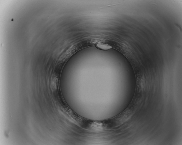 X0000103300227200809051530