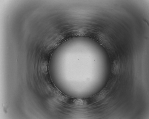 X0000103300230200809051530