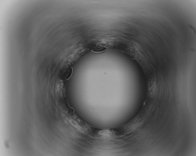 X0000103300231200809051530