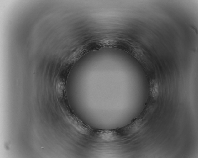 X0000103300235200809051530