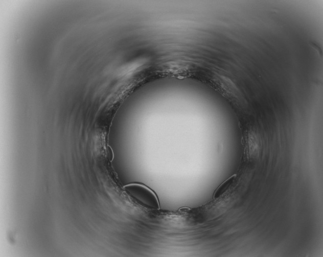 X0000103300236200809051530