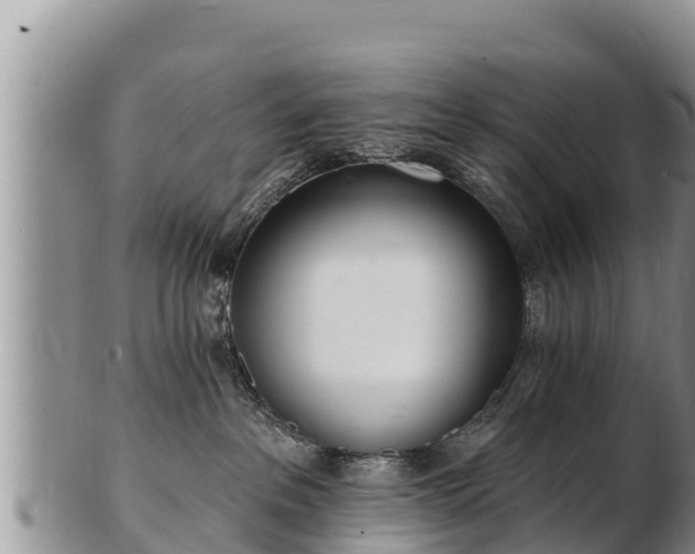 X0000103300237200809051530