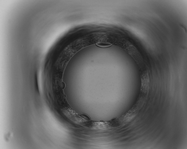 X0000103300239200809051530