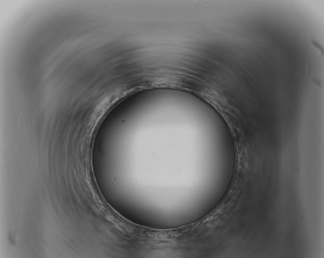 X0000103300241200809051529