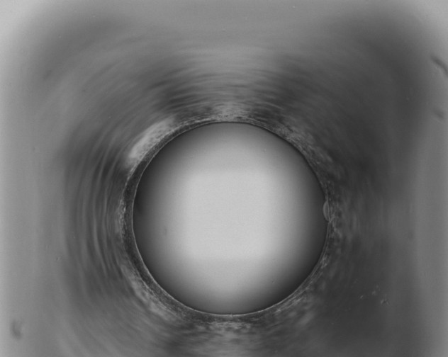 X0000103300242200809051529