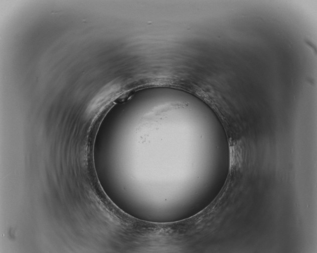 X0000103300243200809051529