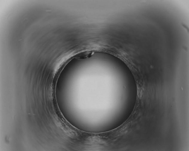 X0000103300244200809051529