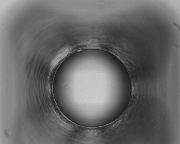 X0000103300245200809051529