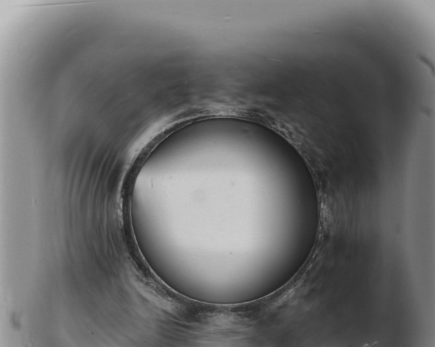 X0000103300246200809051529