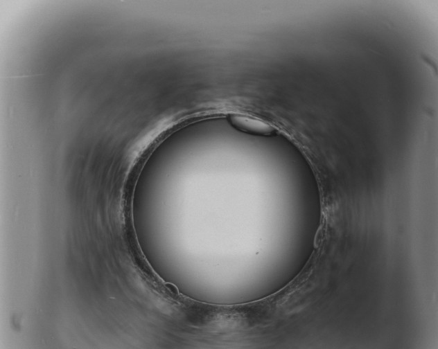 X0000103300248200809051529