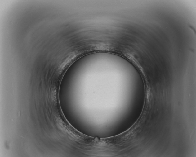 X0000103300249200809051529