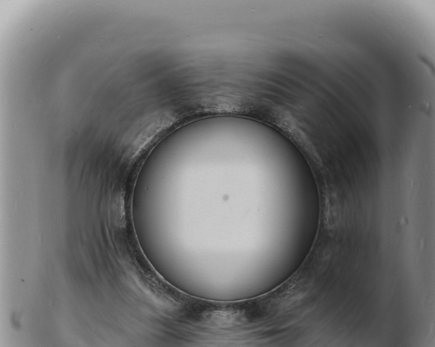 X0000103300251200809051529