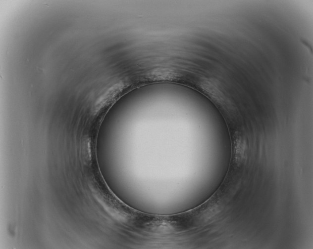 X0000103300254200809051529