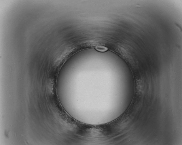 X0000103300255200809051529