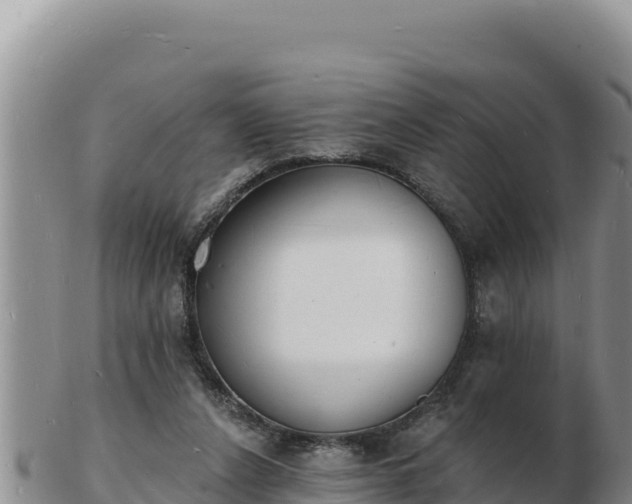 X0000103300256200809051529