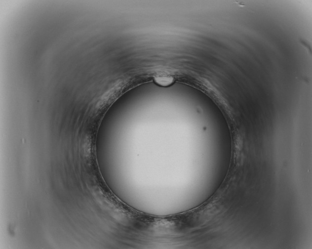 X0000103300257200809051529