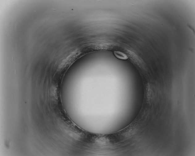 X0000103300258200809051529