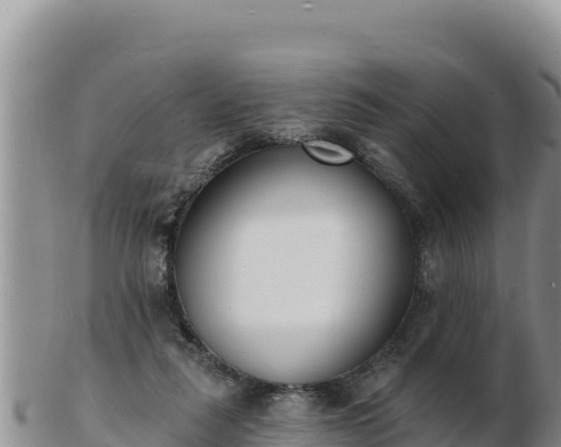 X0000103300259200809051529