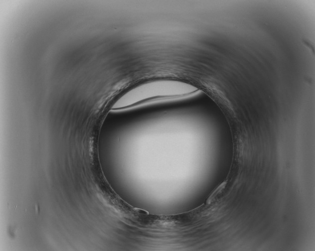 X0000103300260200809051529