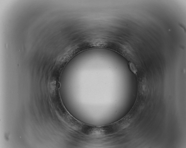 X0000103300263200809051529