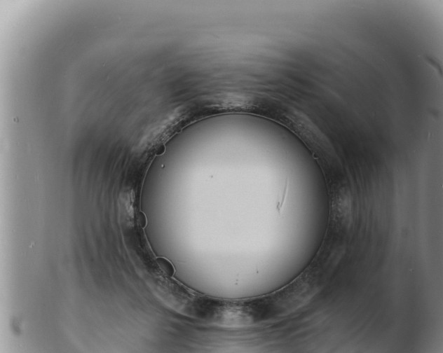 X0000103300264200809051529