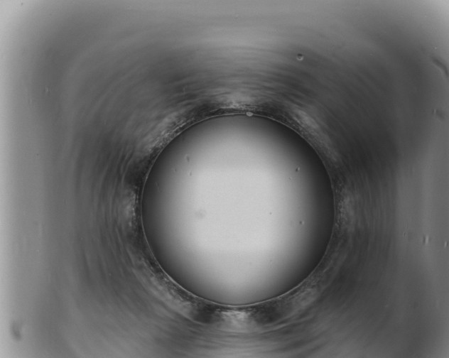 X0000103300265200809051529