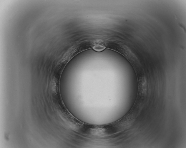 X0000103300266200809051529