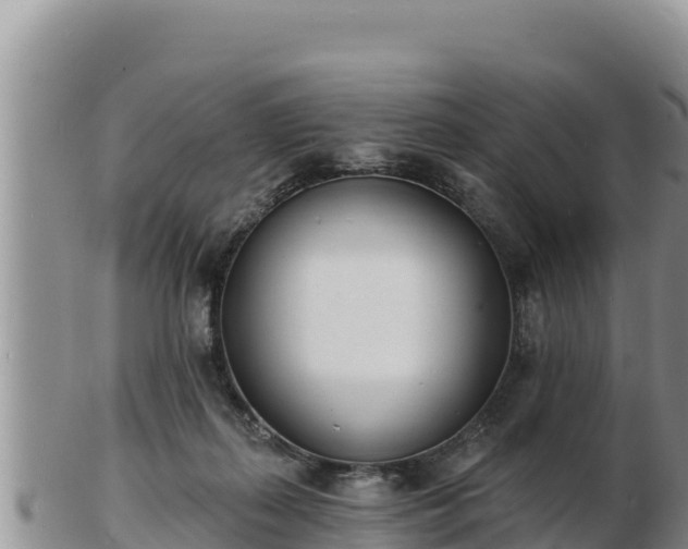 X0000103300267200809051529