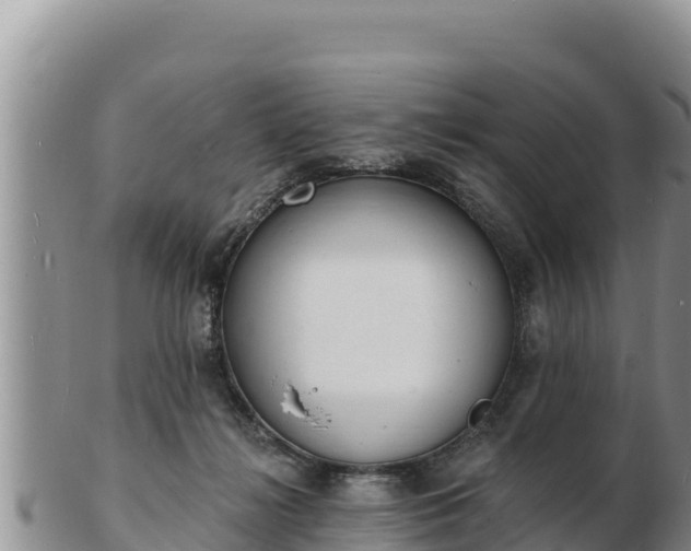 X0000103300268200809051529