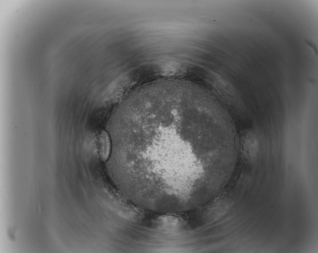 X0000103300272200809051529