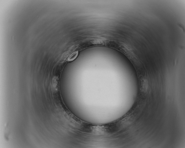 X0000103300273200809051529