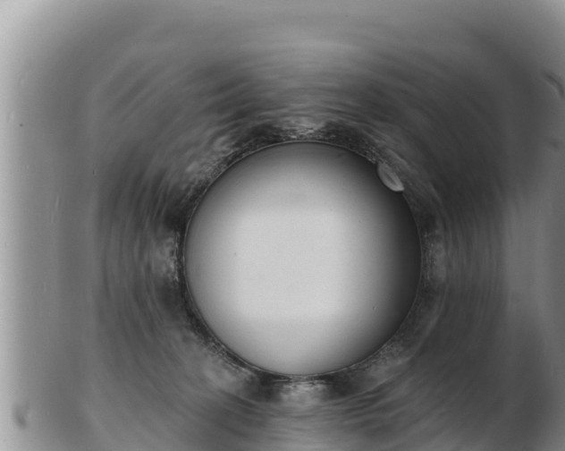 X0000103300274200809051529