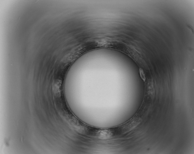 X0000103300275200809051529